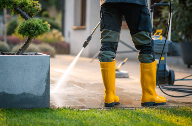 Local Pressure Washing Services in Marion, TX